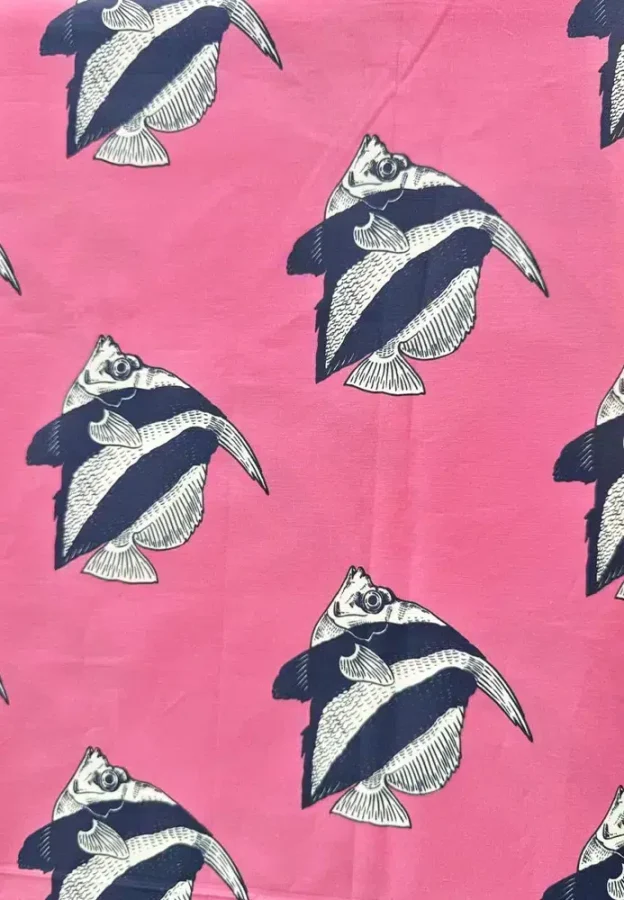 fish yfasma ashinyhome