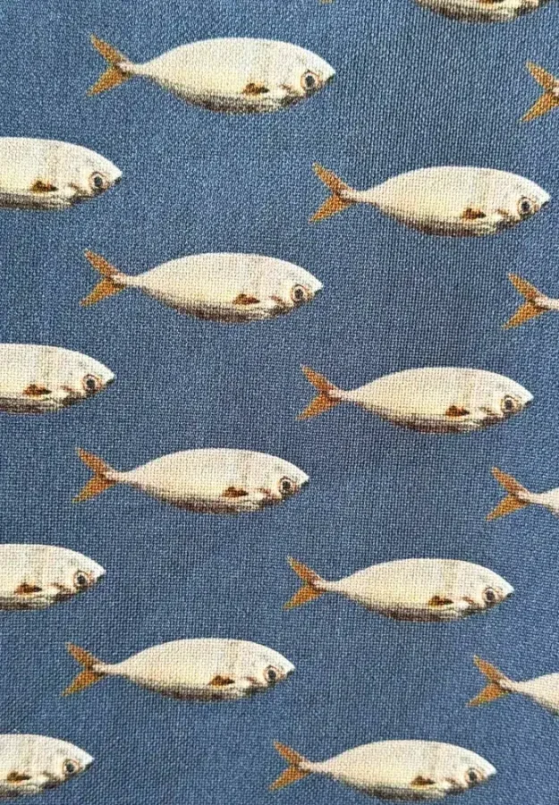 fishes yfasma ashinyhome