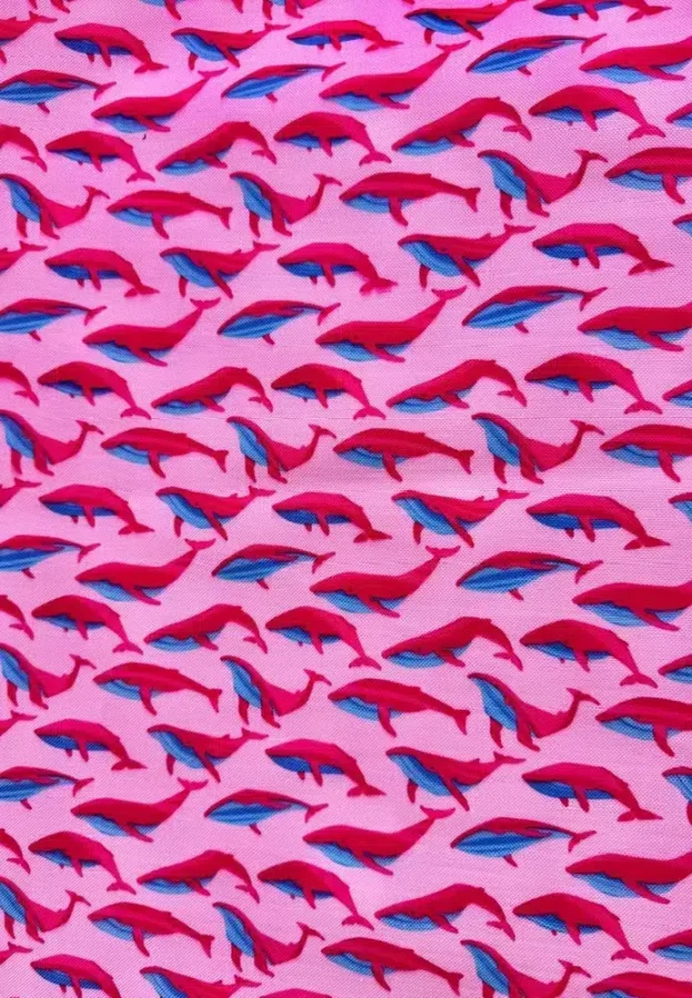 whales yfasma ashinyhome